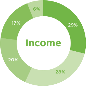 Income Graph