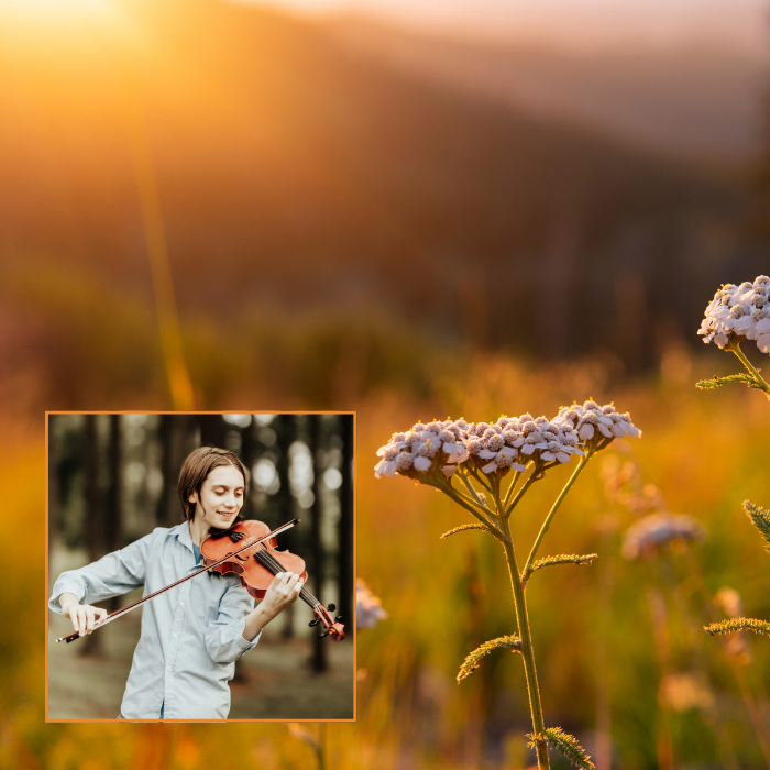 Renewal – Four Seasons & Bolero