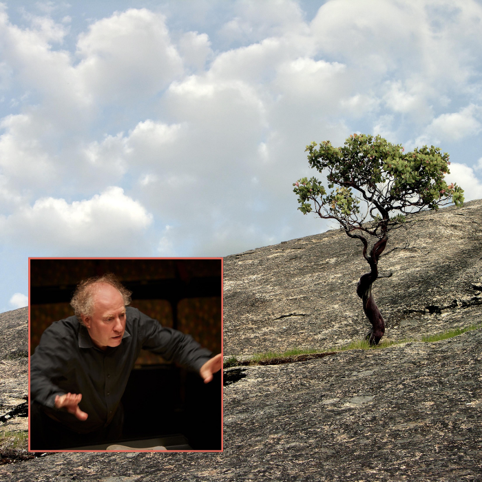 Resistance – Mozart & Shostakovich